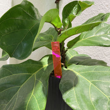 Load image into Gallery viewer, Plant Marker / Stick