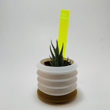 Load image into Gallery viewer, Plant Marker / Stick